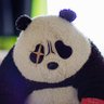 Profilbild von すぼのすけ