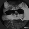 Profilbild von SecularTV_
