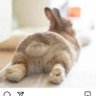 Rak naka's profile picture