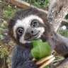 Federico Fernández profil fotoğrafı
