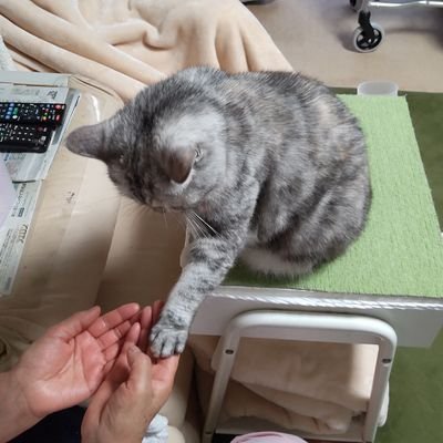 😘ハナちゃん😘〜忠さんの日常's profile picture