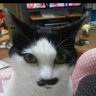 Profilbild von ちょびママ
