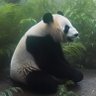 Xiao_Xiao 的头像