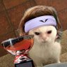 Фото профиля ATP Rage account