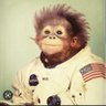 DeadspaceMonkey profil fotoğrafı