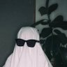 Nova's profile picture