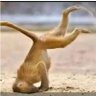 Hon Dr Unique Ems profil fotoğrafı