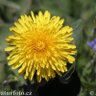 Фото профиля NoWorriesToday