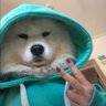 tadziu's profile picture