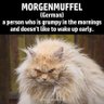 Dr. MorganMuffel profil fotoğrafı