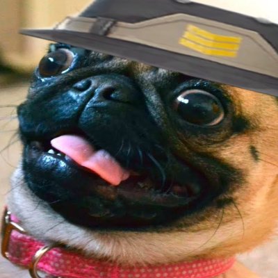 trixvfxx's profile picture