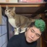 あびつん@父ノ背中 profil fotoğrafı