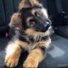 AGITO profil fotoğrafı