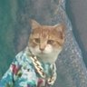 匿哭 nicholai's profile picture