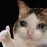 zigzag's profile picture
