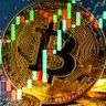 crypto lover's profile picture