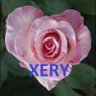 Profilbild von Lassage Rosine