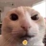 Фото профиля SUMIUUUU