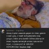 Erdal kömürcü profil fotoğrafı