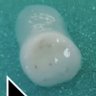 Profilbild von Vax Blob