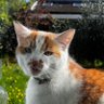 Profilbild von A