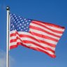 Citizen Murica profil fotoğrafı