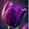 PurpleTulips 的头像