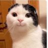 [insert name]'s profile picture