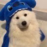 Profilbild von B.