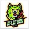 AFLAATOON GAMING's profile picture