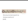 Фото профиля T . H. SALAMI,