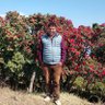 Hari Krishna Acharya's profile picture