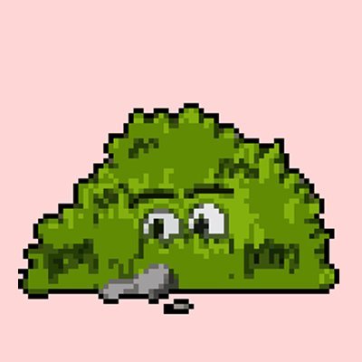 LeafyBush7's profile picture