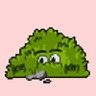 Profilbild von LeafyBush7