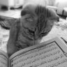 Фото профиля معروف