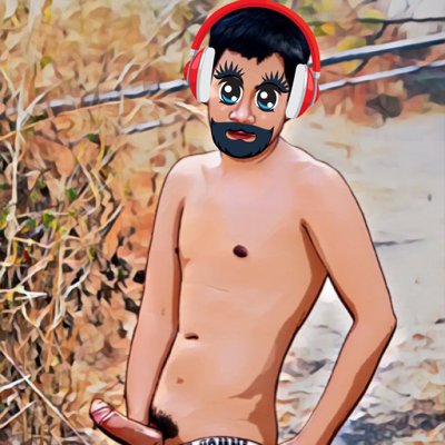 FinDolFin's profile picture