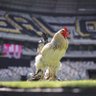 Galouco profil fotoğrafı