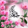 Profilbild von جمعه الريسي