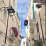 🤍Happiness🦋 profil fotoğrafı