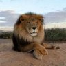 همس الشوق profil fotoğrafı