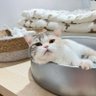 อยากไปท่องยุทธภพ 的头像