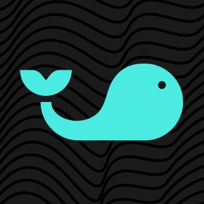 splashsports's profile picture