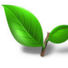 BASHEER MOHAMED's profile picture