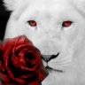 Hakan69's profile picture
