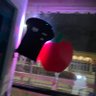 almar's profile picture