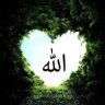 Freedom for Palestine 🇩🇿🇵🇸's profile picture