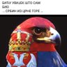 Фото профиля Vozd 03