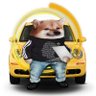 David Jones's profile picture
