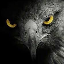 Alwakry's profile picture