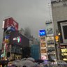 Profilbild von ネイト🥀 CxcaineBeats
